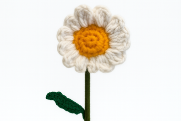 Daisy